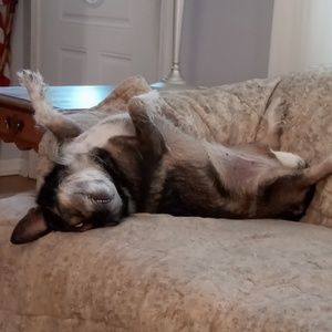 Meet your Posher, Kim